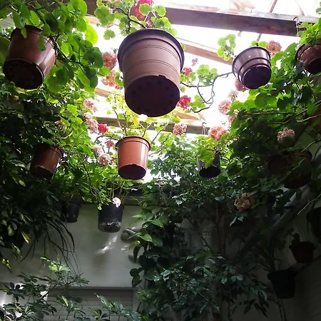 Mariola Gæstehus 3*