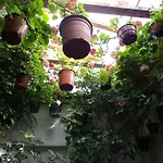 Mariola Pensión 4*